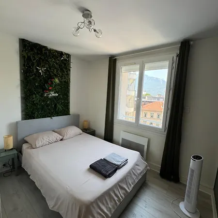 Apartment 3 - Ideal Pour Famille Et Groupe - Proche Centre Grenoble